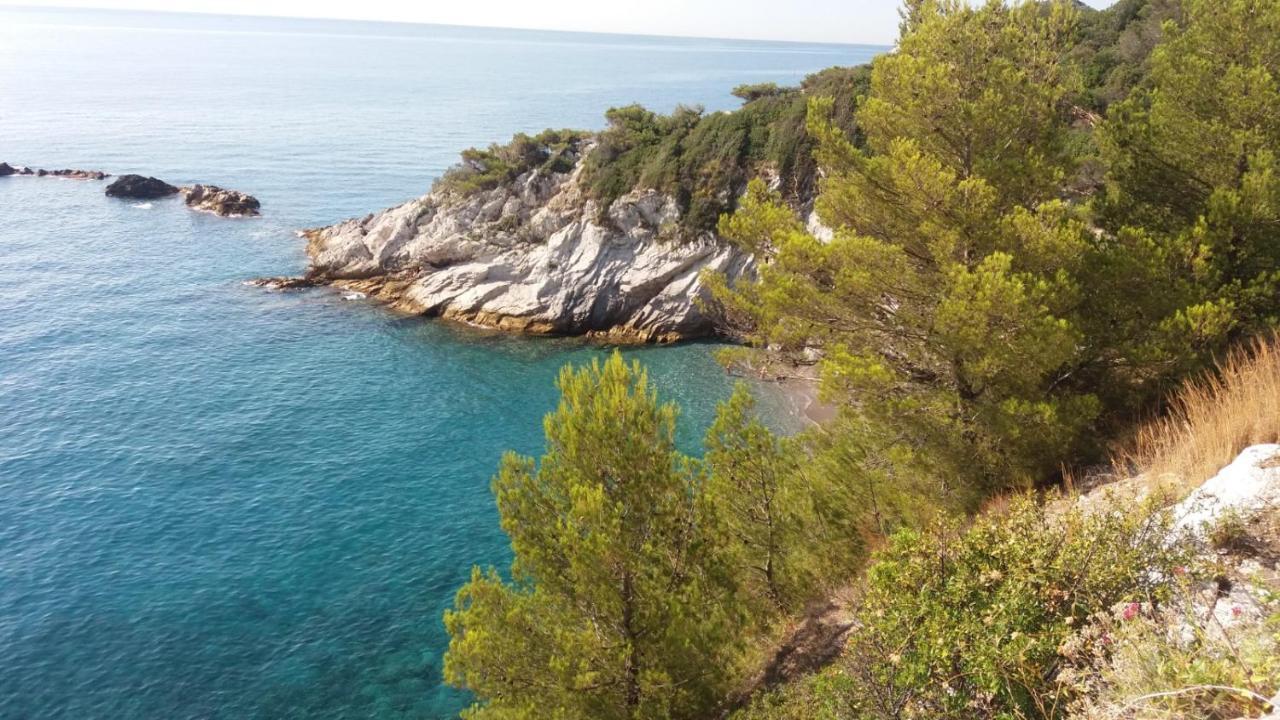 Una Finestra Sul Mare Monolocale Lejlighed Bergeggi Eksteriør billede